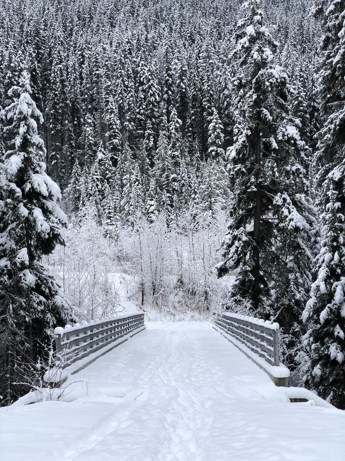 The Burfield Hotel Sun Peaks Buitenkant foto